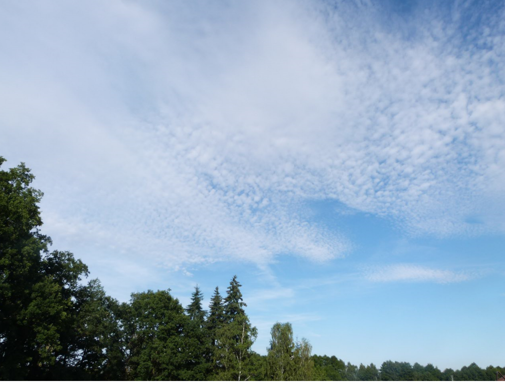 Altocumulus